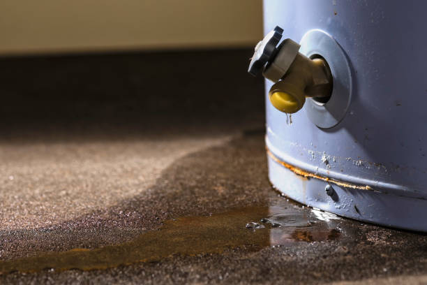 Water damage restoration experts in MA