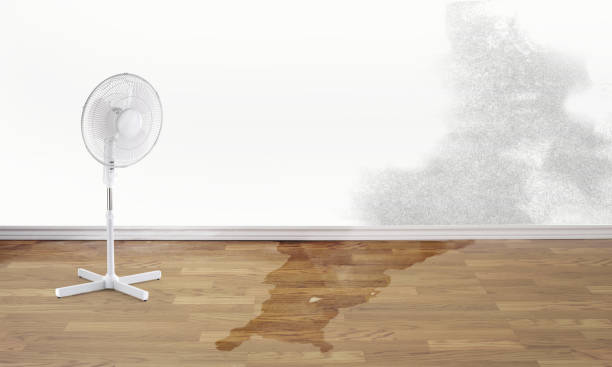 Best Sewage cleanup and water damage restoration  in South Dennis, MA