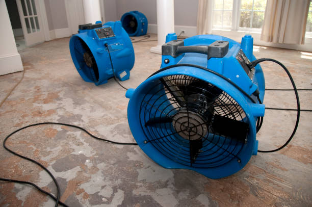 Best Flood damage cleanup  in South Dennis, MA