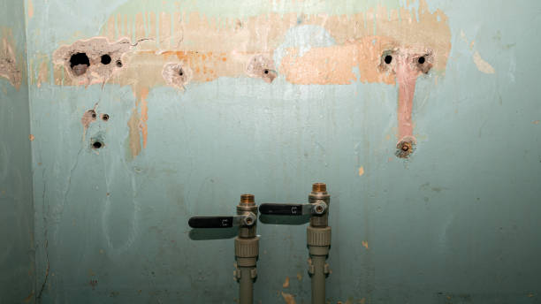 Best Professional water damage repair  in South Dennis, MA